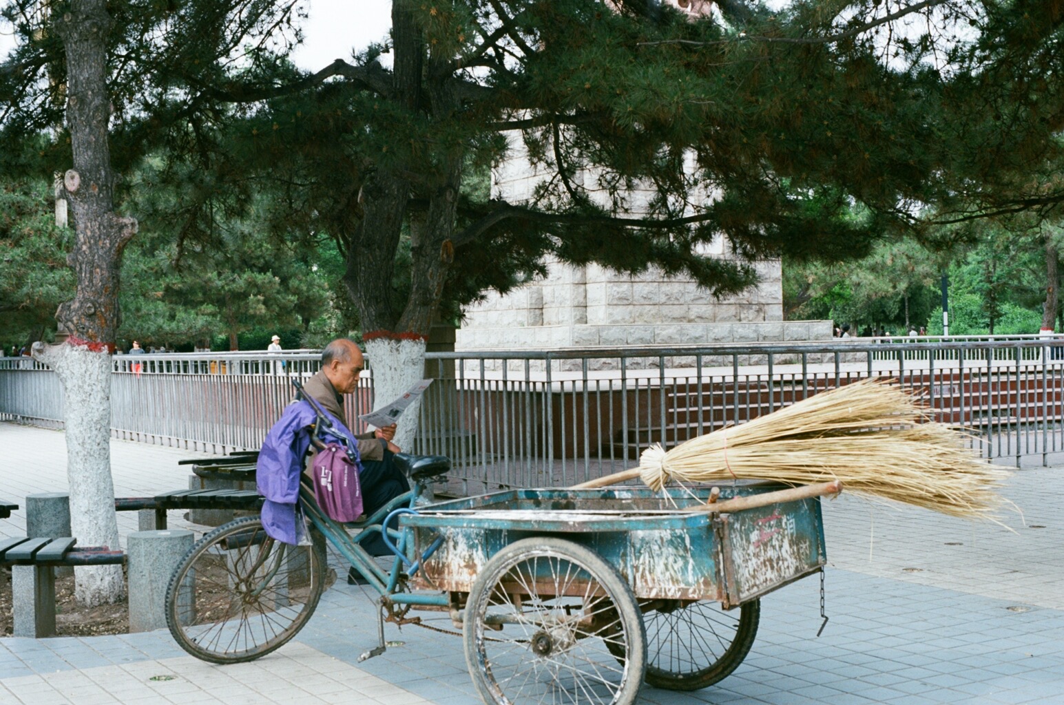Reading in the park: Datong, Shanxi, China